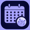 Cute Calendar: Planner 2024 - VU HO NGOC