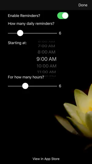 Present Moment screenshot 3