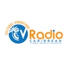Cultural Vibrations icon