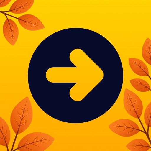 ONAY! - Your City Companion