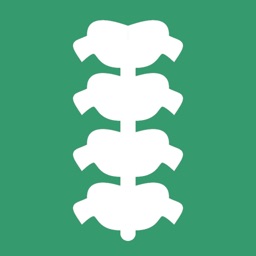 INSELhealth - spinal surgery