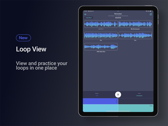 Speed Changer | Transcribe+ iPad screenshot 4 - Music app
