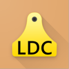 e-LDC - LDC