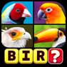 Get Word Puzzle: Guess the Word for iOS, iPhone, iPad Aso Report