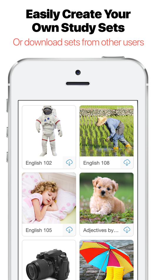 #2. Bitsboard Flashcards PRO (iOS) 由: Happy Moose Apps
