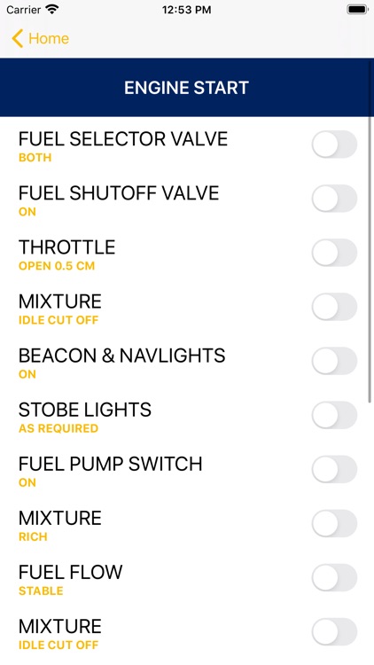 C172 Checklists screenshot-3