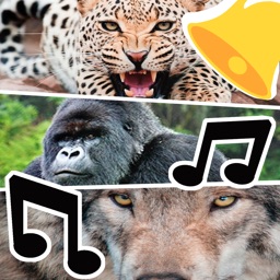 Sonneries d'animaux - sons