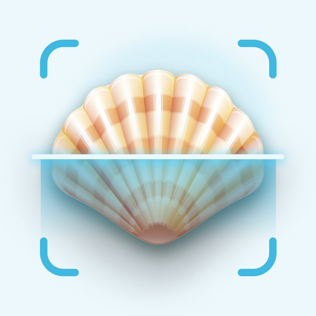 Get Sea Shell Identifier & Guide for iOS, iPhone, iPad Aso Report