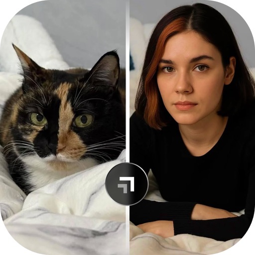Pet to Human : AI Box Doll Toy