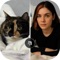Create viral trend on the social media right now