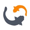 Tai Chi Beginners Seniors app icon