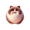 Fat Ragdoll Cat Stickers App Icon