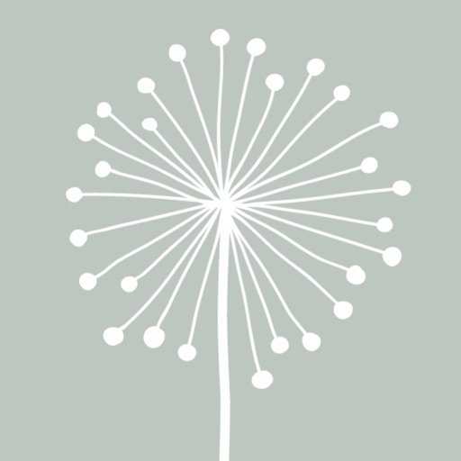 DandyLight - Photography App