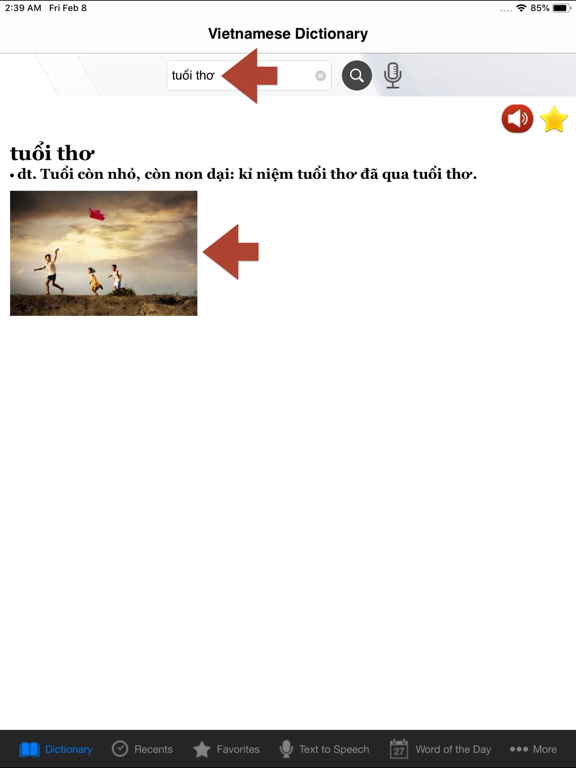 Vietnamese Dictionary. iPad screenshot 5 - Reference app