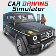 Real Car Driving Simulator