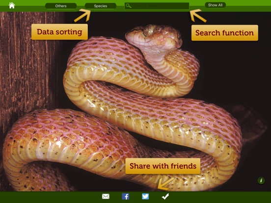 Screenshot #6 pour Snakes eGuide