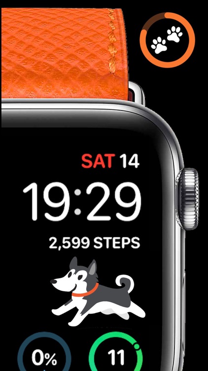 StepDog: Step Counter with Dog