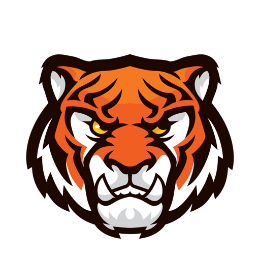 Tiger Team Knowledge