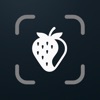 Bite AI: Photo Calorie Counter icon