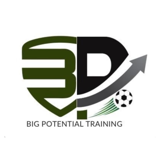 Big Potential Training