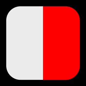Pilot Dispatch
