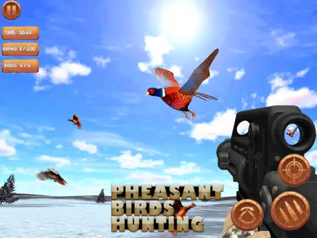 Pheasant Bird Hunting Pro