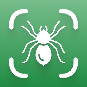 Spider ID & Identifier