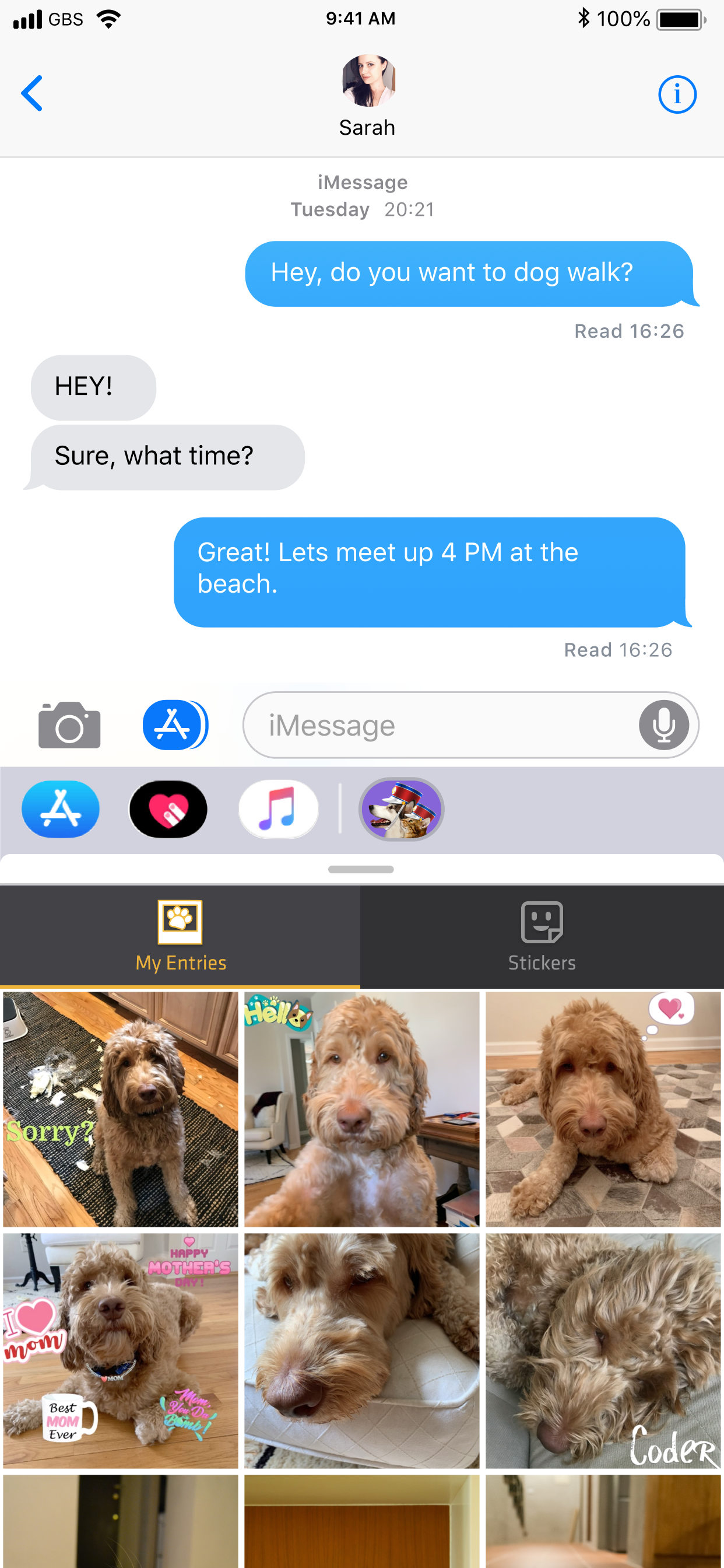 Pet Parade: Cutest Pet Game