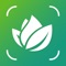 AI Plant Identifier: Care Tips identifies over a million plants daily with an impressive 98% accuracy, outperforming most human experts