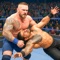 Have you ever experienced wrestling fighting games