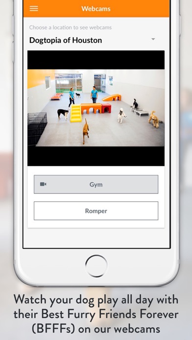 Dogtopia Screenshot