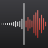 Voice Recorder & Audio Notes - Tonti Laguna