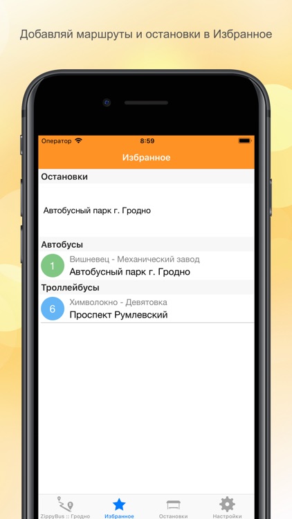 ZippyBus-расписание транспорта screenshot-8
