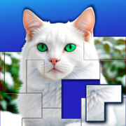 Jigsaw Puzzle Blocks