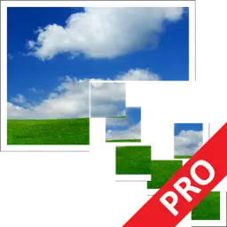 Pixillion Plus app icon