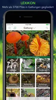 pilze 123 iphone bildschirmfoto 1