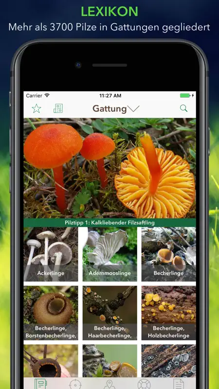 Pilze 123 screenshot 1 of 8