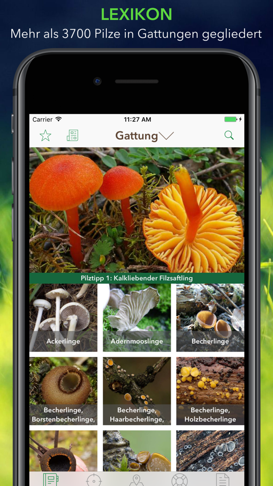 #1. Pilze 123 (iOS) بواسطة: Swift Management AG