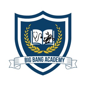 Bigbang learning app