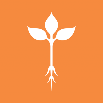 Roots Natural Kitchen Ordering