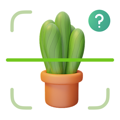 PicturePlant Ai Identifier