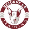Recurve K9 icon