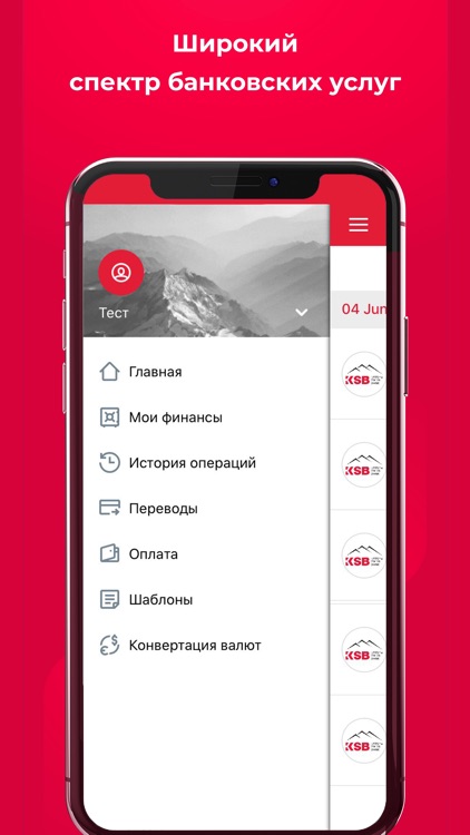 KSB Online screenshot-3