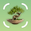 BonsAI Identifier: Tree Care