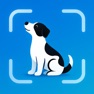 Get Dog Breed Identifier Scanner for iOS, iPhone, iPad Aso Report