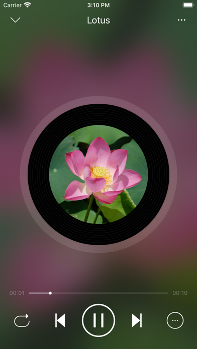 LoveMusic Player - Local Play Screenshot