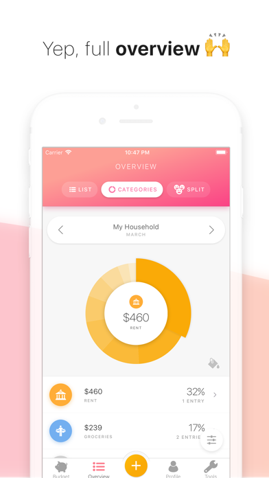 Buddy: Budget Planner App Screenshot