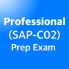 Professional SAP-C02 EXAM 2025 icon