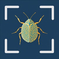 Bug Identifier - Insect