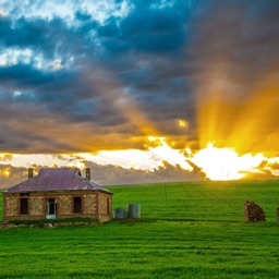 Discover Goyder